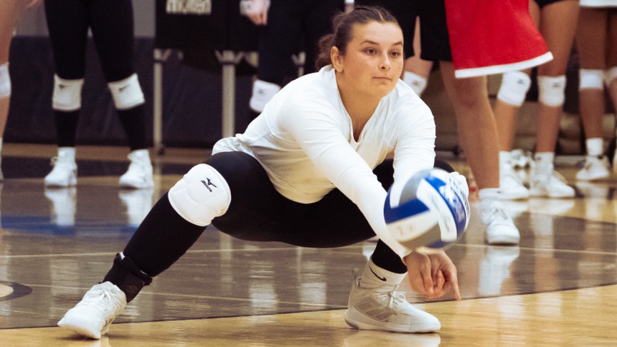 Volleyball Fall to Salve, UNE at Home Tri-Match